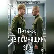Постер книги Петька, не помнящий зла