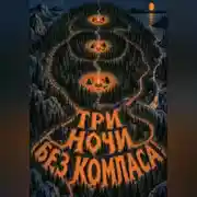 Постер книги Три ночи без компаса