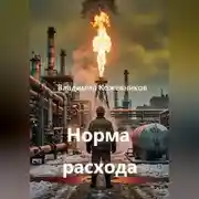 Постер книги Норма расхода