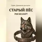 Постер книги «Старый пёс» из серии: Душевные истории