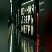 Постер книги Ночная дверь метро