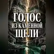 Постер книги Голос из каменной щели