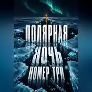 Постер книги Полярная ночь номер три