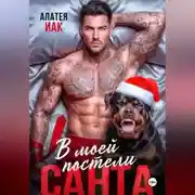 Постер книги Санта в моей постели