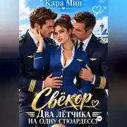 Постер книги Свёкор. Два лётчика на одну стюардессу