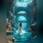 Постер книги Туннель