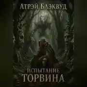 Постер книги Испытание Торвина