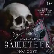 Постер книги Тёмный защитник