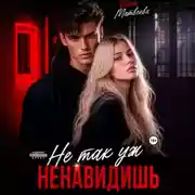 Постер книги Не так уж ненавидишь