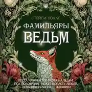 Постер книги Фамильяры ведьм