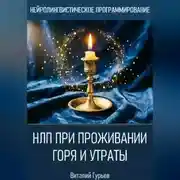 Постер книги НЛП при проживании горя и утраты