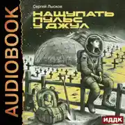 Постер книги Нащупать пульс у Джул