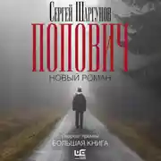 Постер книги Попович