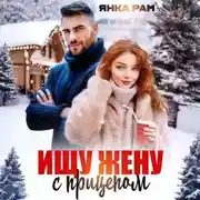 Постер книги Ищу жену с прицепом
