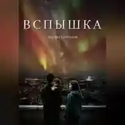 Постер книги Вспышка