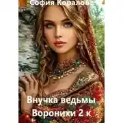 Постер книги Воронихи. 2 книга