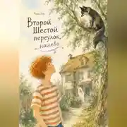 Постер книги Второй шестой переулок, налево