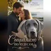 Постер книги Специалист по чудесам