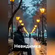 Постер книги Невидимка