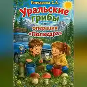Постер книги Уральские грибы или операция «Полведра»