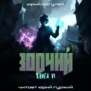 Постер книги Зодчий. Книга VI