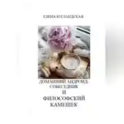 Постер книги Домашний андроид-собеседник и философский камешек