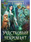 Анна Шаенская - Участковый некромант