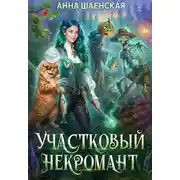 Постер книги Участковый некромант