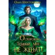 Постер книги Осторожно, темный маг не женат!