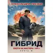 Постер книги Гибрид. Книга 16. Охота на мастера. Том 3