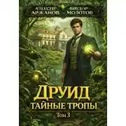 Постер книги Дубровский 3. Друид. Тайные тропы