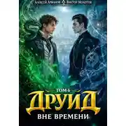 Постер книги Дубровский 6. Друид. Вне времени
