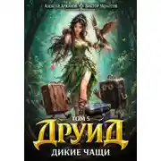 Постер книги Дубровский 5. Друид. Дикие Чащи