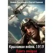 Постер книги Крылатая война. 1915. Книга 2