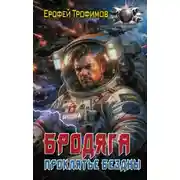 Постер книги Бродяга. Книга 4. Проклятье бездны