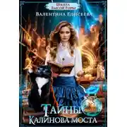 Постер книги Школа лысой горы. Книга 2. Тайны Калинова моста