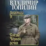 Постер книги Слёзы чёрной речки