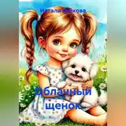 Постер книги Облачный щенок
