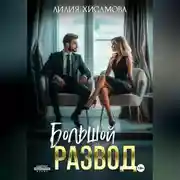 Постер книги Большой развод