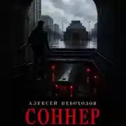 Постер книги Соннер