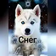Постер книги Снег