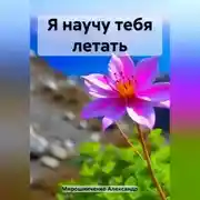 Постер книги Я научу тебя летать