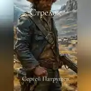 Постер книги Стрелок