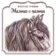 Постер книги Мальчик-с-пальчик