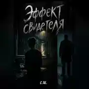 Постер книги Эффект свидетеля