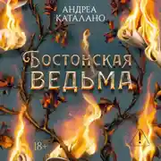 Постер книги Бостонская ведьма