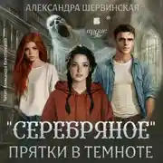 Постер книги Серебряное. Прятки в темноте