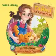 Постер книги Тайна на каникулах