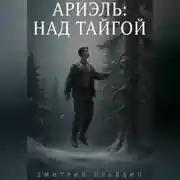 Постер книги АРИЭЛЬ: НАД ТАЙГОЙ