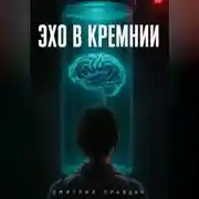Постер книги ЭХО В КРЕМНИИ
